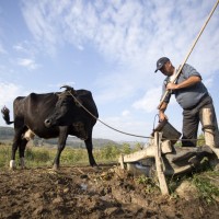 depopulare valea oanei