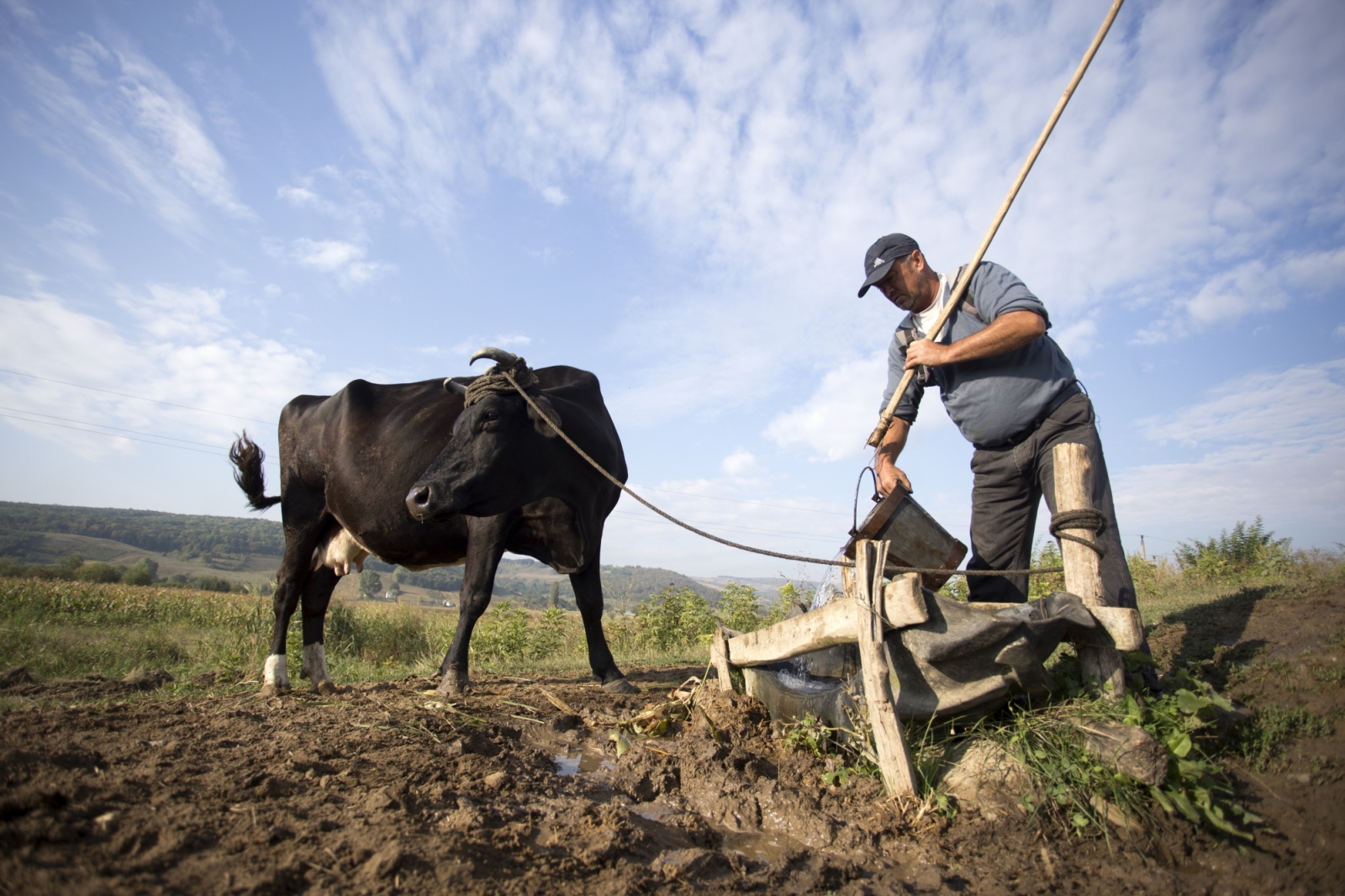depopulare valea oanei